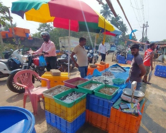Mormugao council gives Kharewado fish wholesalers 7 days to shut down activity