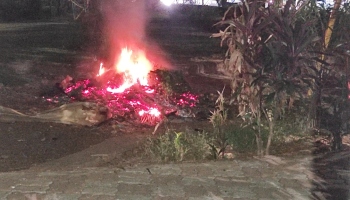 MMC workers too dispose of garden waste by burning