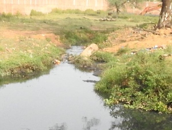 MMC given task of identifying drains, diverting them to sewerage system