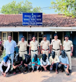 Colvale Police’s offensive on tenant verification; 7 arrested, houseowners booked in Tivim
