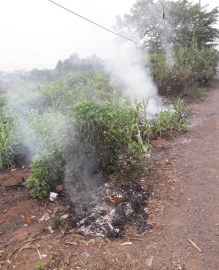 Burning garbage, cattle carcass puts Margao municipality under scanner