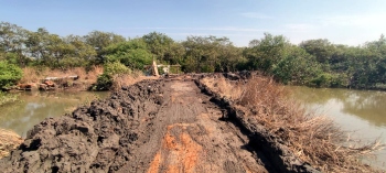 MLA accused of neglecting issue of mangroves’ cutting in St Andre