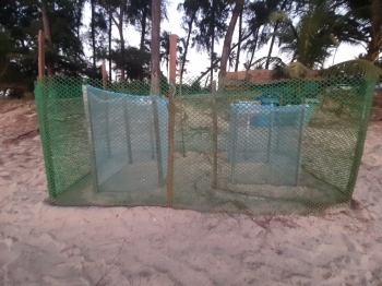 S Goa Marine Range HQ gets 2nd turtle pit at Galgibaga