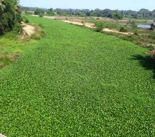 Navelim stretch of Sal craves attention