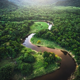 Climate tipping points in Amazon, Tibet 'linked': Scientists