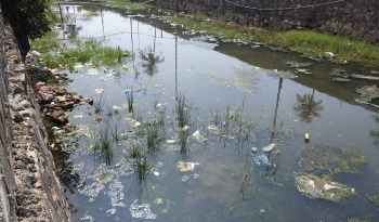 Contaminated Colva creek takes centrestage