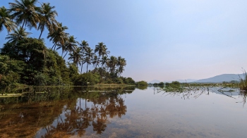In praise of our wetlands