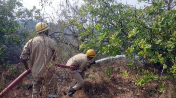 Fire guts Mauxi cashew plantation; loss at Rs 3 lakh