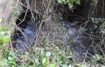 Issue of sewage discharge from STP into Sal comes back to haunt locals