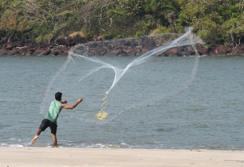 Registration regime for fishing: Confusion in the air at South Goa