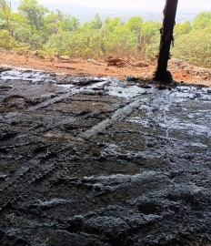 Leachate continues to pose problems at Sonsodo shed