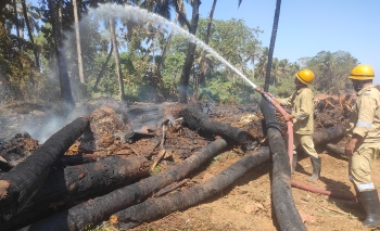 Bypass contractor told to cart away firewood