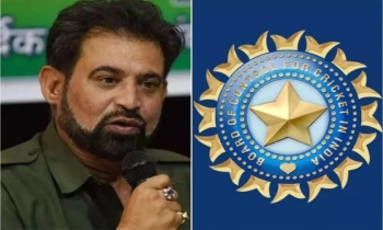 Cricket made susceptible by notorious sting