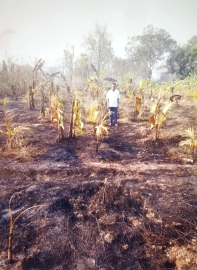 Fire breaks out on Sanguem hill -- site of failed govt IIT