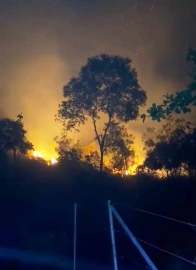 Biodiversity major victim of fires across hillocks in Salcete