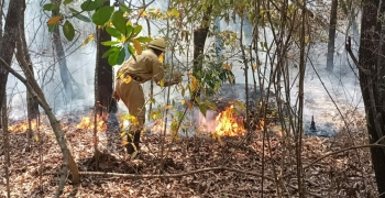 Fire breaks out in thick vegetation on Parra hill
