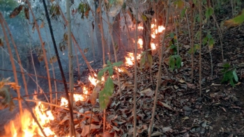 Forest fire continues in Kariamol-Kalay