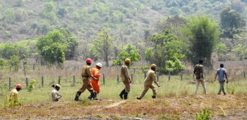 A week on, fire rages at Dramapur hillock, destroys flora and fauna