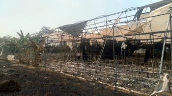 Now, orchid poly house goes up in flames at Agonda