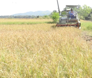 Ambitious project to revive fallow fields at Patto to be launched on Monday