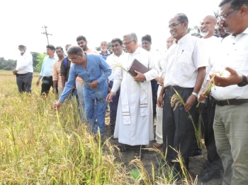 Chinchinim takes another step towards regaining status as Salcete’s granary
