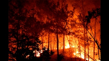 Planned response key to fight forest fires