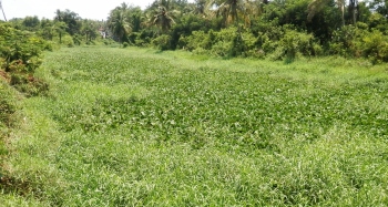 River Sal to be desilted, waterways improved at cost of Rs 25 crore