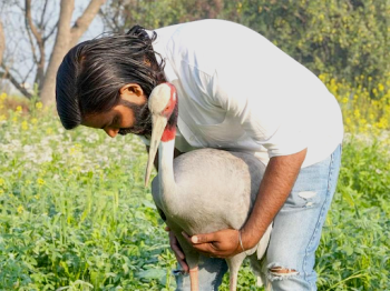 When law defeats compassion