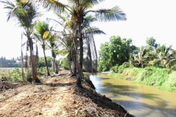 Nuvem panel objects to loss of biodiversity during Sal's desilting