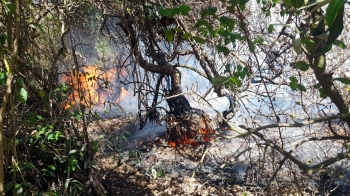 After Dandi, now fire engulfs mangroves at Moita-Agassaim