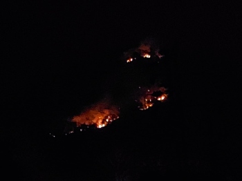 Fire breaks out at Chapoli hillock, doused after 7 hrs
