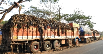 HC gives green signal to RDF transportation from Sonsodo dump
