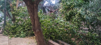 Dona Paula circle slowly losing its charm