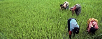 Climate action by studying food systems
