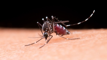 Prevention and Awareness: Keeping malaria at bay