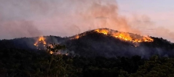 Fire engulfs hillock near Chapoli dam