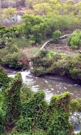 Calangute forum calls for halt to operations of Baga STP