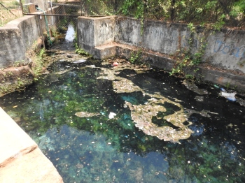 Davorlim spring craves for attention