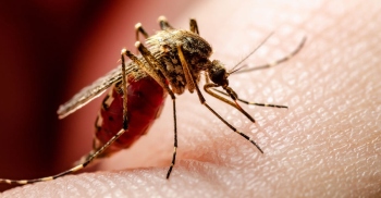 Health services calls for community participation with Goa figuring in dengue endemic states