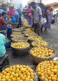 Finally, ‘mankurad’ hits Margao market