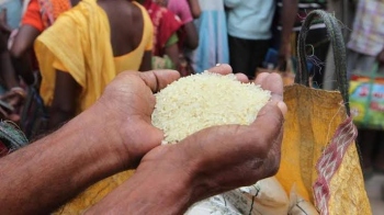 Does 'plastic rice' really exist?