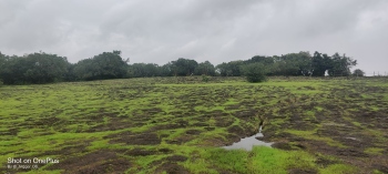 To boost eco-tourism, Sattari’s Sural village to get additional power