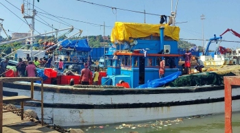 Canoe lobby insists they should be allowed to catch solar shrimps before end of fishing ban
