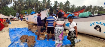 GFBOA wants govt to allow small boats to net shrimps
