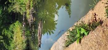 Drains, streams in Valpoi civic area in dire need of cleanup