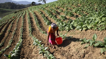 World No Tobacco Day: We need food, not tobacco