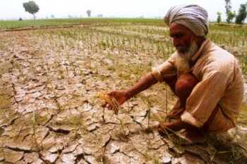 Farmers face soaring risk of flash droughts