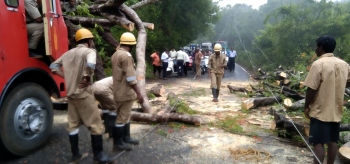 Trees come crashing down on roads in Dharbandora