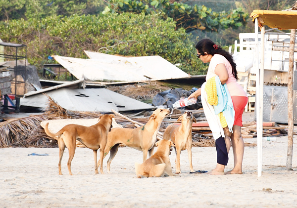 CANINE CARE